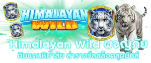 Himalayan Wild ผจญภัยดินแดนหิมาลัย ล่ารางวัลสล็อตสุดมันส์